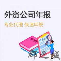 外资公司年报