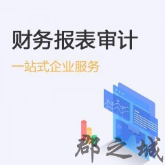 财务报表审计 审计报告